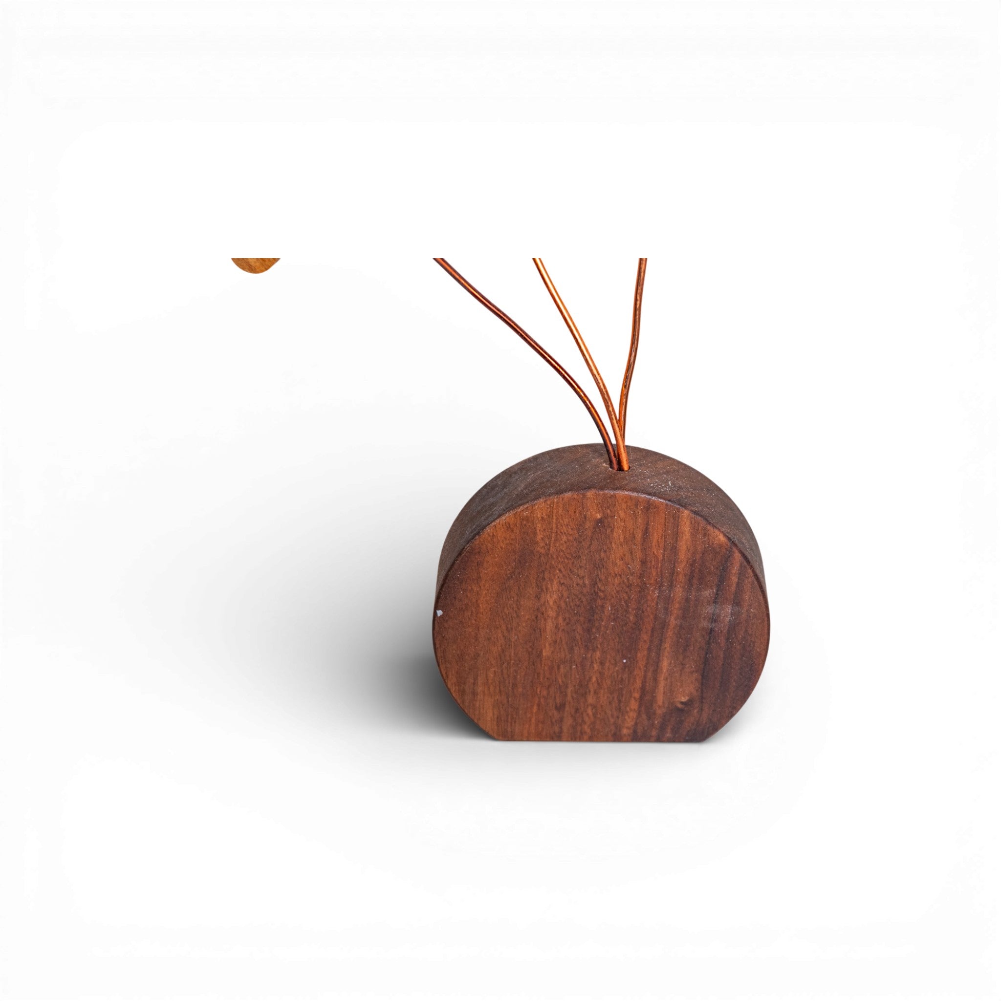 Close-up of dark walnut semi-circular base for wooden daisy flowers