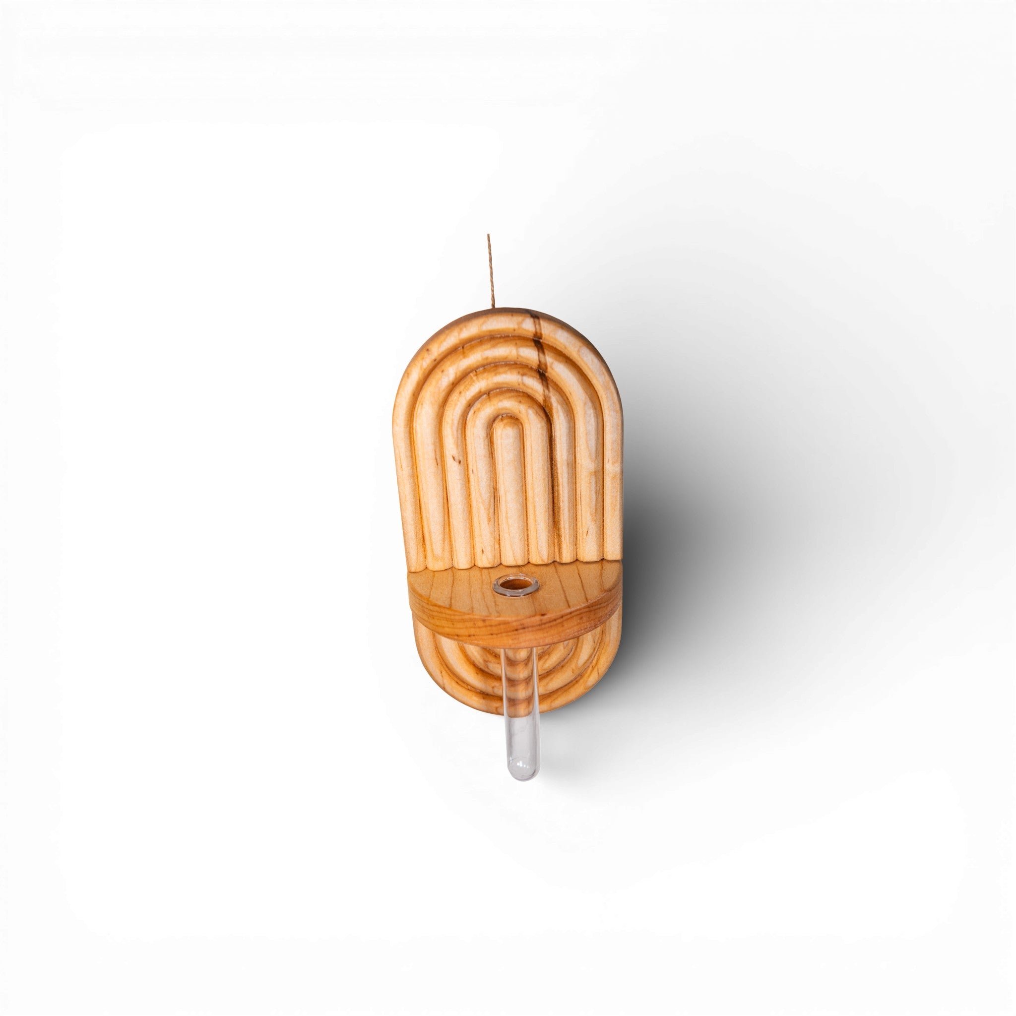 Wall Hanging Propagation Station - Maple