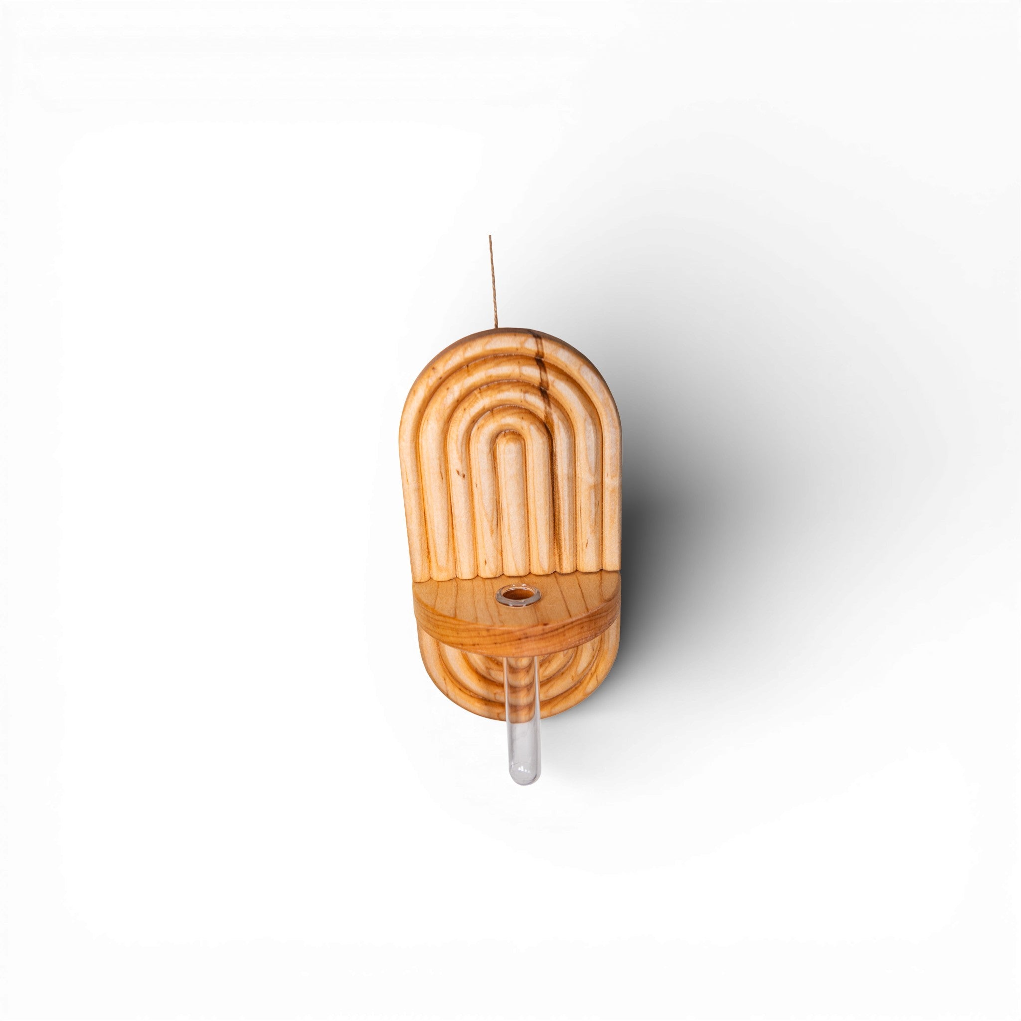 Wall Hanging Propagation Station - Maple