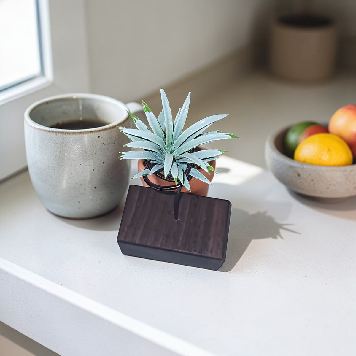 Wood Air Plant Holders Minimalist Air Plant Lover Gift