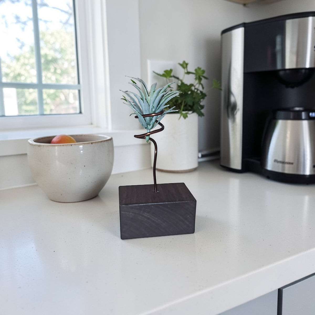 Wood Air Plant Holders Minimalist Air Plant Lover Gift