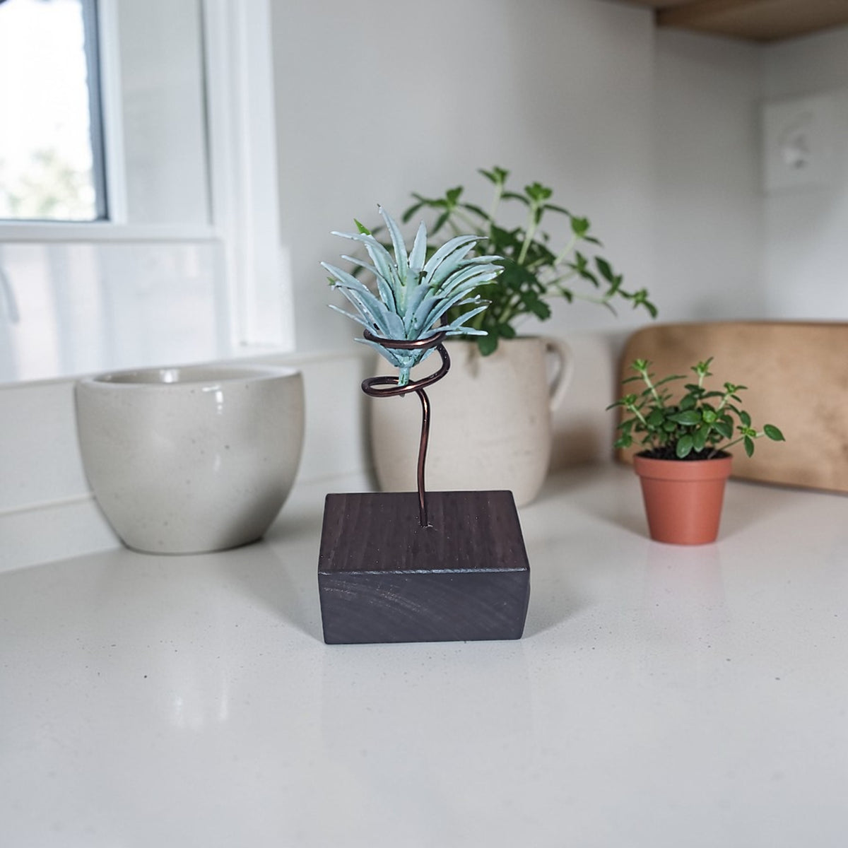 Wood Air Plant Holders Minimalist Air Plant Lover Gift