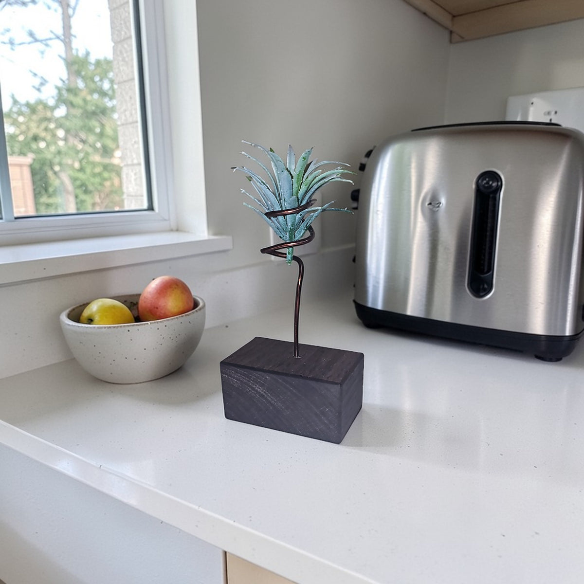 Wood Air Plant Holders Minimalist Air Plant Lover Gift