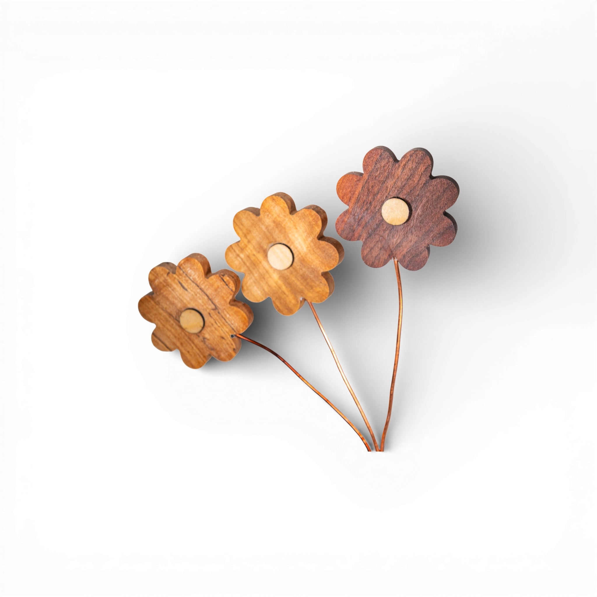 Loose cluster of three handmade wooden daisies with copper stems