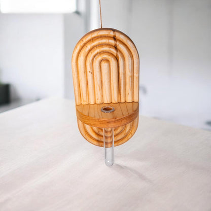 Wall Hanging Propagation Station - Maple