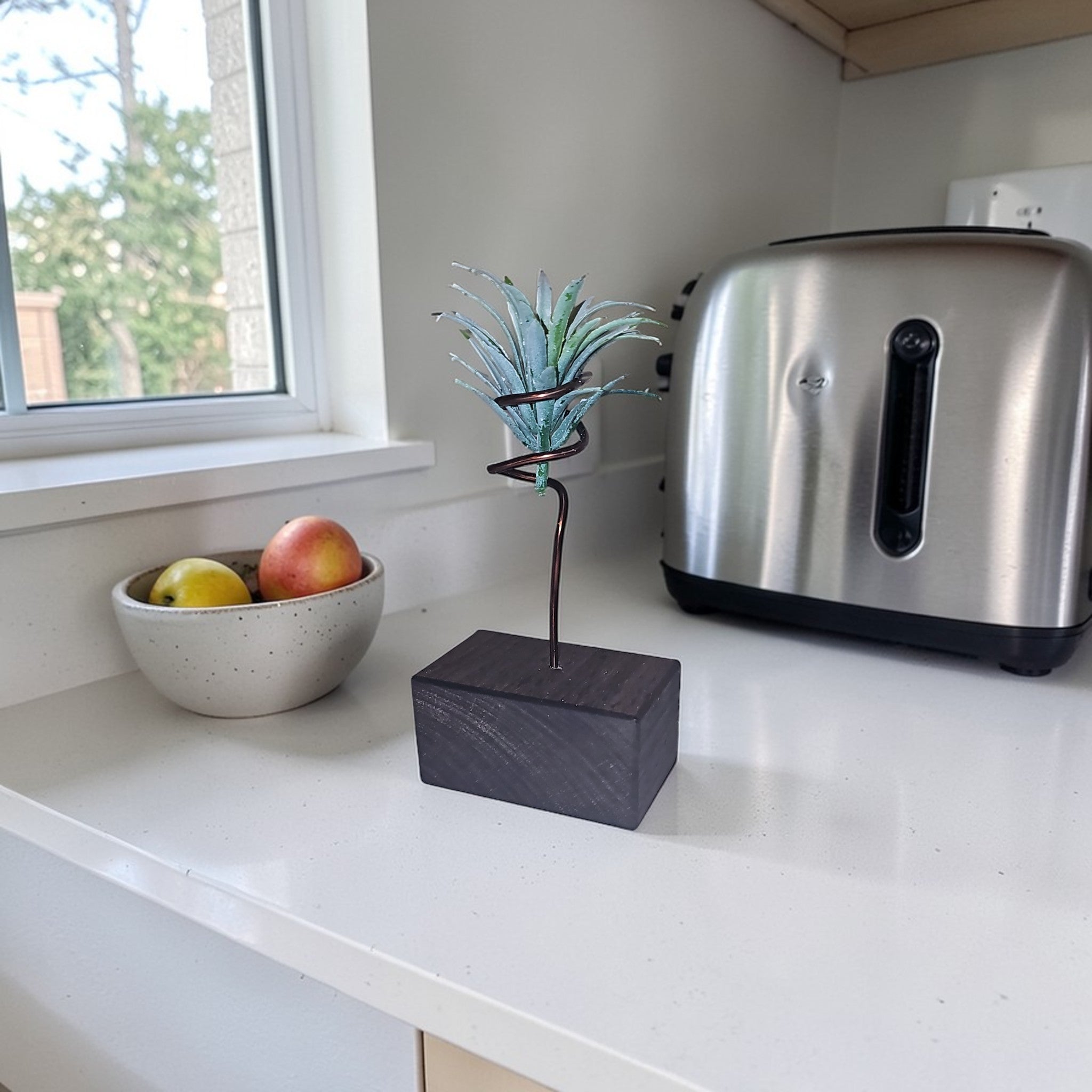 Wood Air Plant Holders Minimalist Air Plant Lover Gift