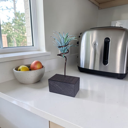 Wood Air Plant Holders Minimalist Air Plant Lover Gift