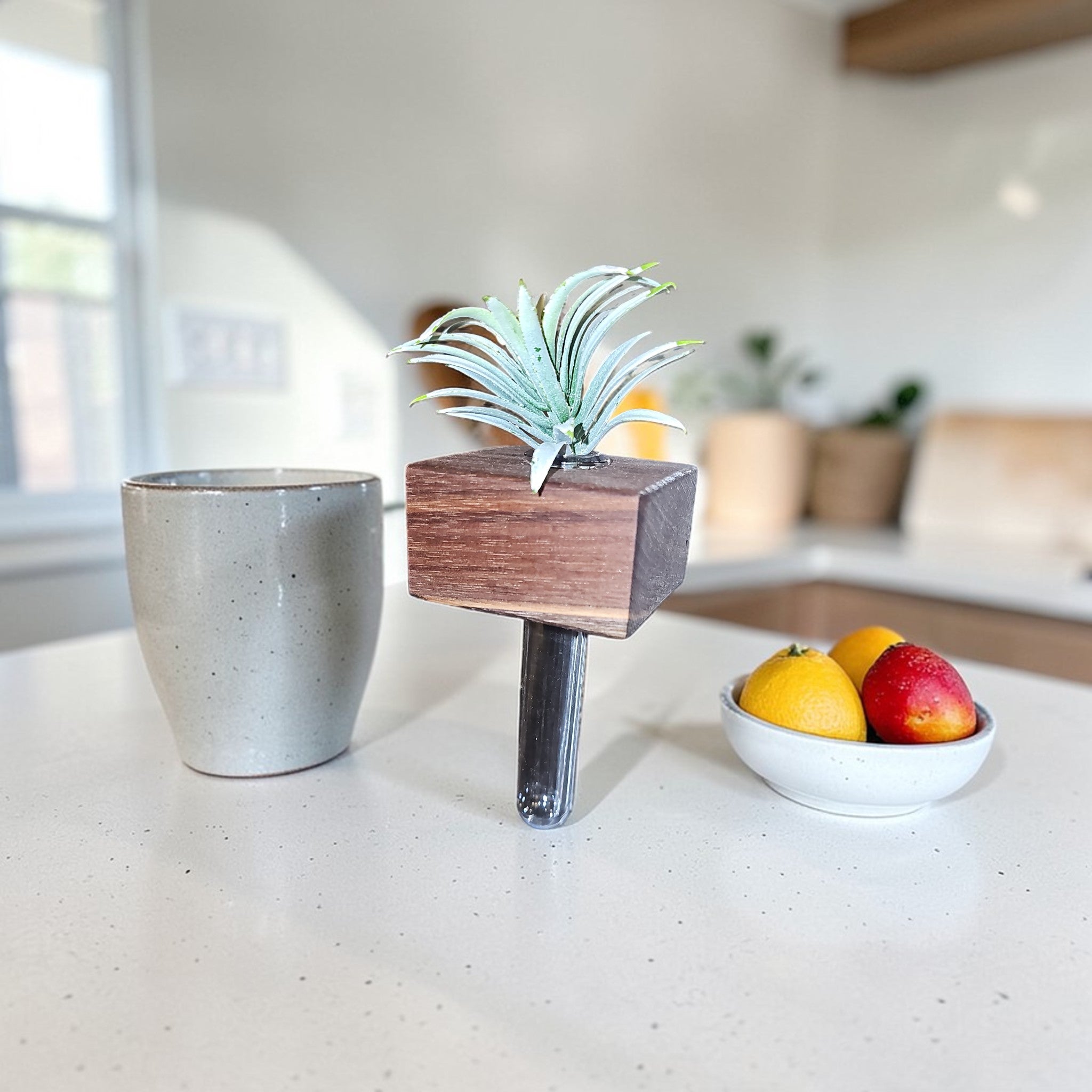 Dark stained wooden propagation station with clear glass tube for cuttings