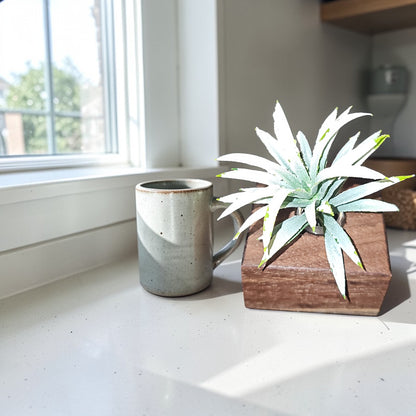 Wood grain detail on propagation station with glass tube and air plant